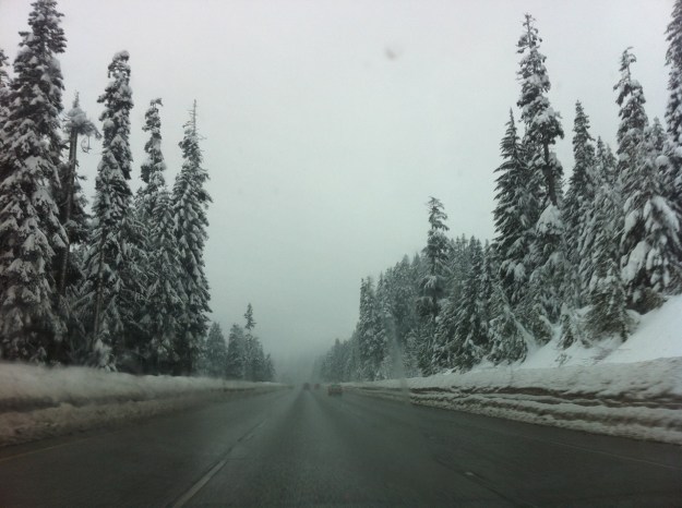 "Going to Hawaii, right..."