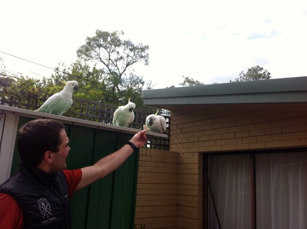 They said hello first (literally).