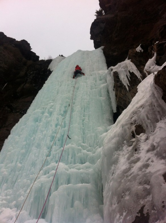 Sceptre is in fat...