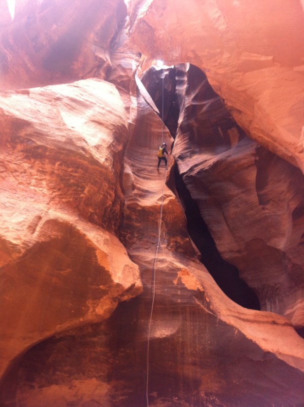 Our new friend Taylor following after us...