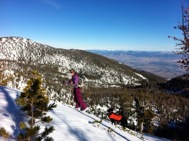 Molly and Izzie making short work of the skinning.