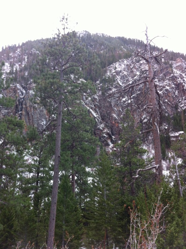 Looking from the main overlook towards Weedeater.