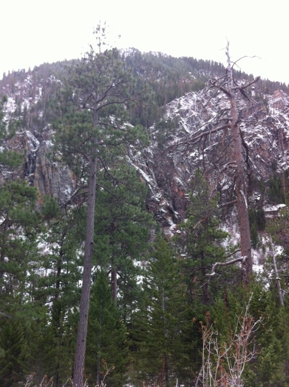 Looking from the main overlook towards Weedeater.