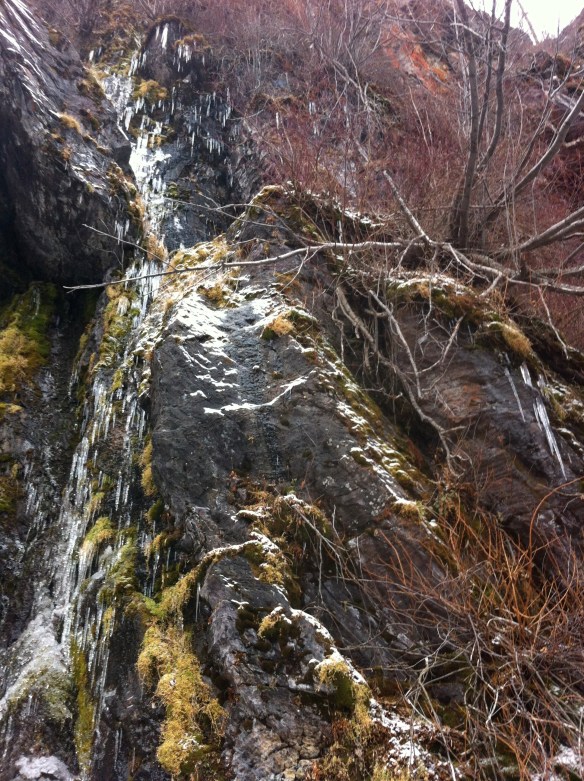 Weedeater, from the belay.  Good drips and starts, but no climbing.