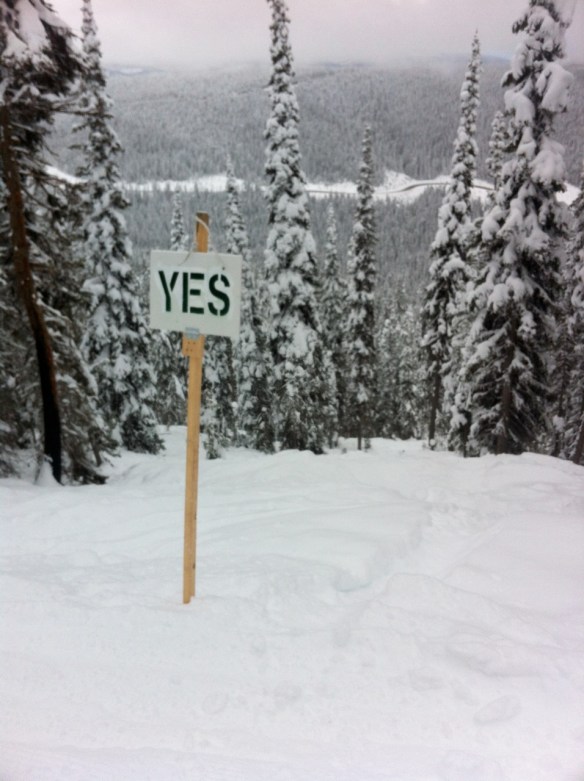 2014 is the question. Yes is the answer.