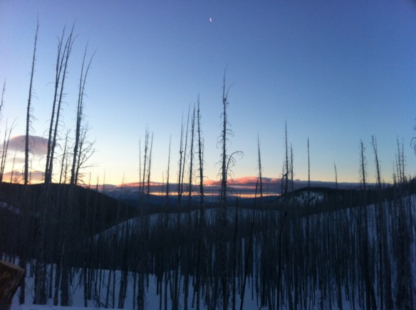 The best of Saturday mornings.