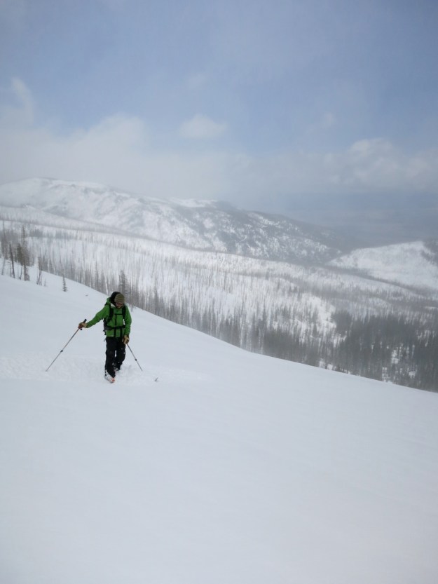 powder skiing, backcountry skiing, boot deep