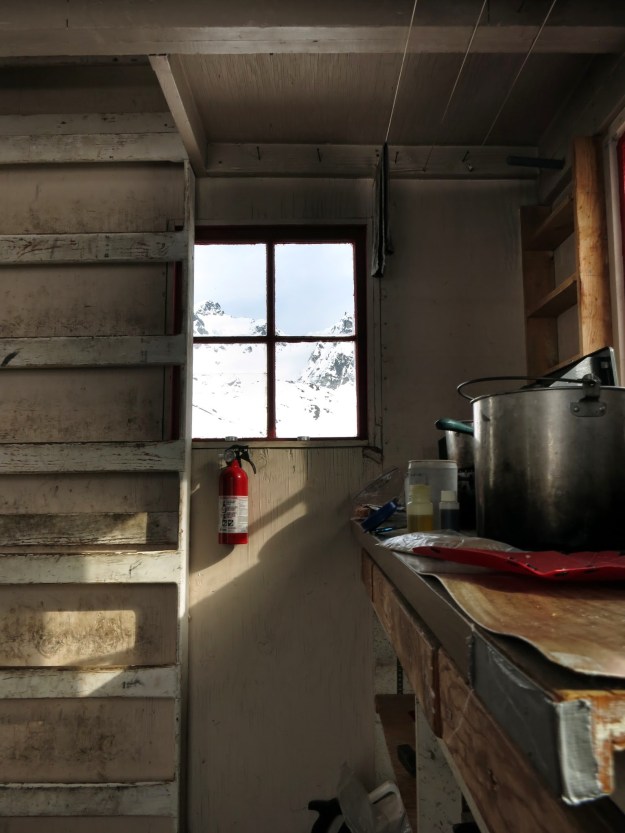 Endless daylight works up an appetite.