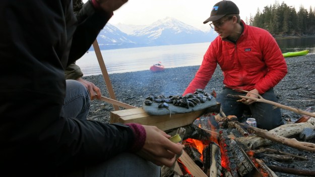 Wild harvested muscles over an open fire in Prince William Sound.