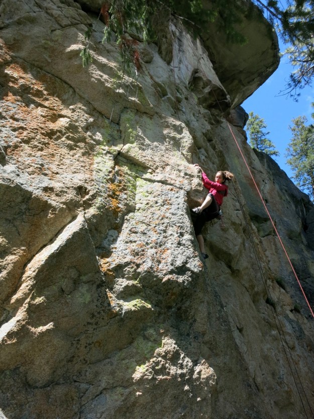 It's official, we're a climber house now.