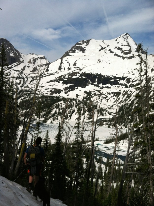 First sight of the objective.