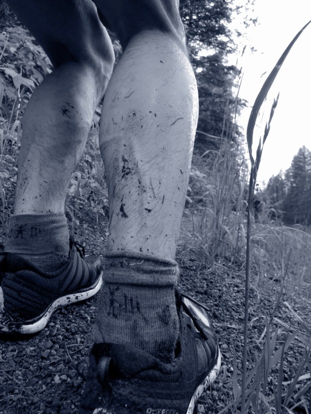 My favorite running conditions.