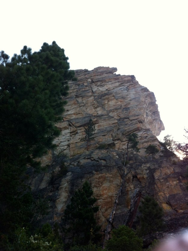 Climb the right facing dihedral in the center left of the face.