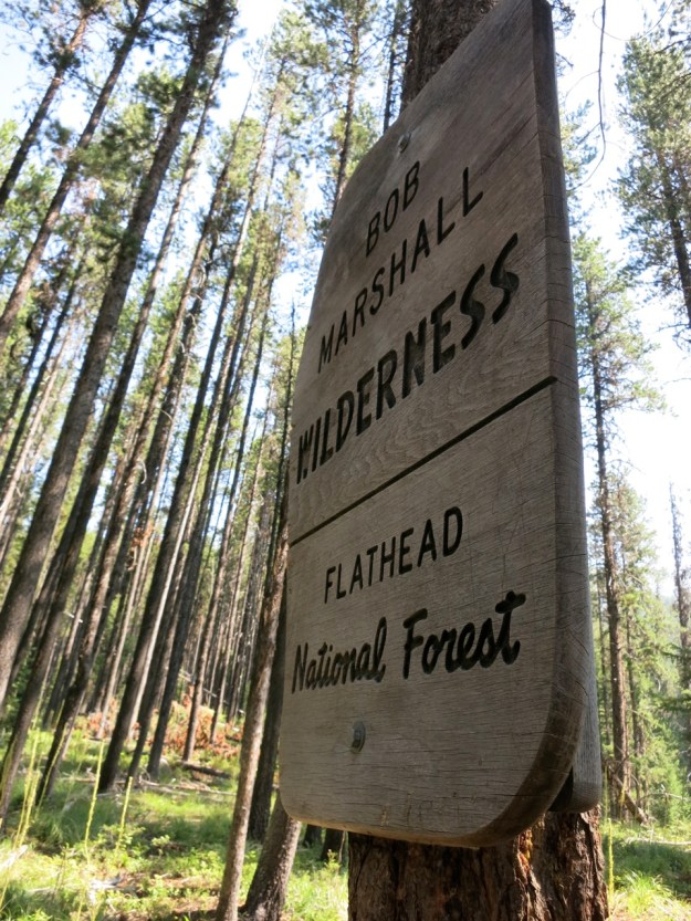 Getting into the business.