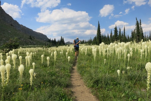 Joe in rare fields of white.