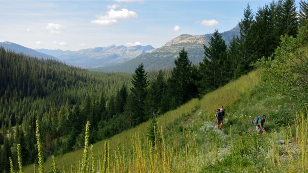 Quick work of the trip home.