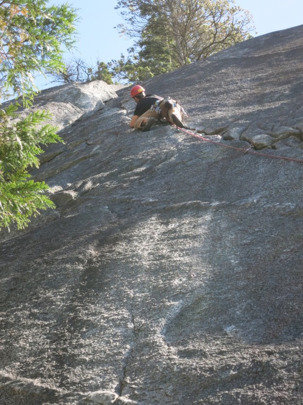 'Paul's Crack' on the Malamute. Unbelievable.