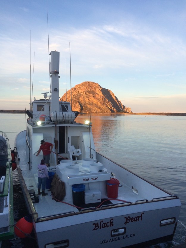 Going to get dinner.