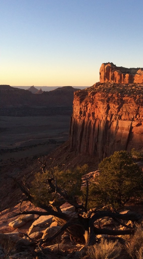 indian creek utah, desert light, wingate sandstone, 