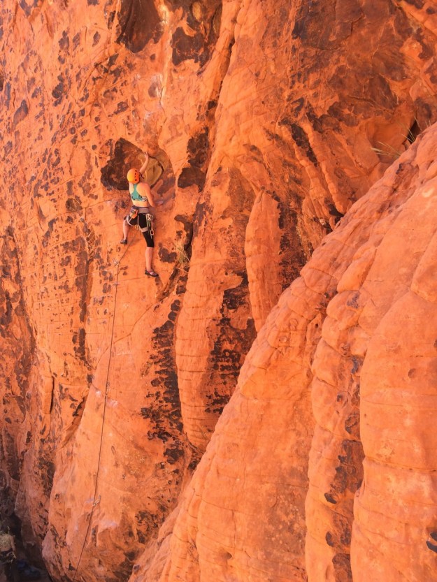 Tess, crushing. It gets more red in the evening light.