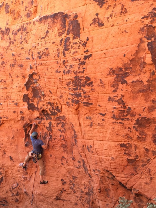 Me. I don't know... I think it's pretty red.