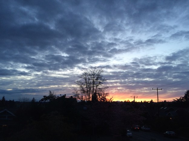 Sunset on the Olympics