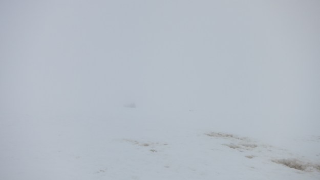 Mt Rainier, weather, whiteout, Mt Rainier National Park.