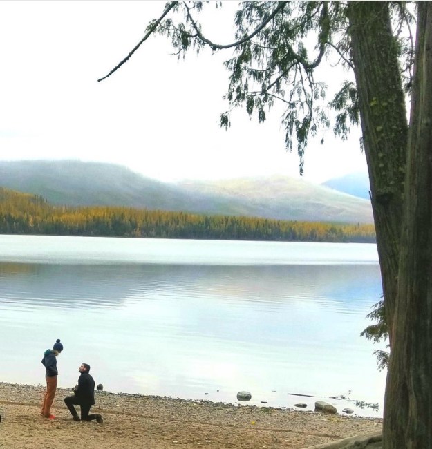 Screen Shot 2017-11-19 at 2.11.55 PM